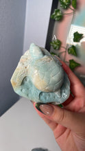 Load image into Gallery viewer, Caribbean Calcite Turtles
