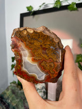 Load image into Gallery viewer, Turkish Agate Specimen