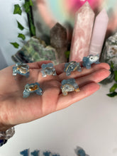 Load image into Gallery viewer, Blue Onyx Frog