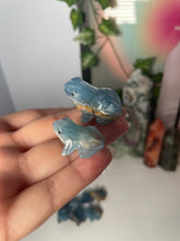 Load image into Gallery viewer, Blue Onyx Frog