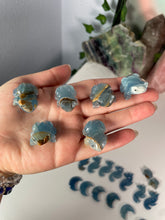 Load image into Gallery viewer, Blue Onyx Frog