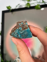 Load image into Gallery viewer, Small Druzy Chrysocolla Specimens
