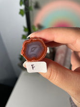 Load image into Gallery viewer, Coyamito Agate Geodes