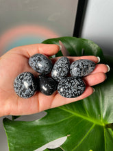 Load image into Gallery viewer, Snowflake Obsidian Tumble