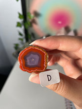 Load image into Gallery viewer, Coyamito Agate Geodes