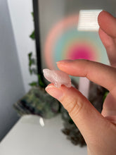 Load image into Gallery viewer, Mini Rose Quartz Turtles