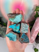 Load image into Gallery viewer, Small Druzy Chrysocolla Specimens
