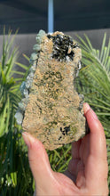 Load image into Gallery viewer, Epidote with Quartz
