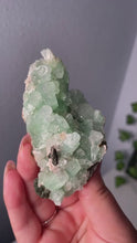 Load and play video in Gallery viewer, Green Apophyllite Specimen
