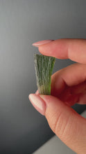 Load and play video in Gallery viewer, Raw Moldavite #200
