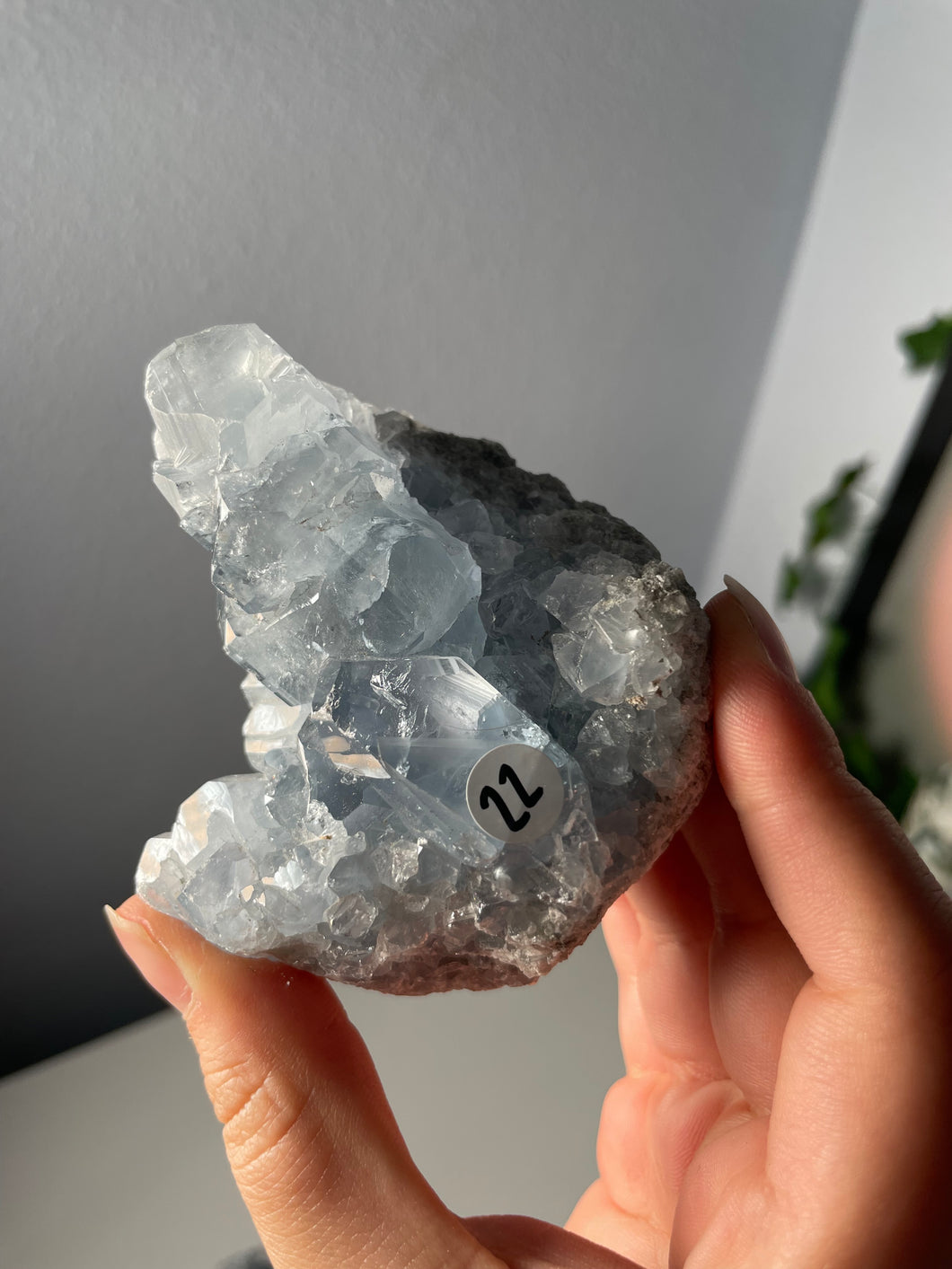 Celestite Clusters *Choose Your Own*
