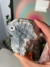 Load image into Gallery viewer, Celestite Clusters *Choose Your Own*

