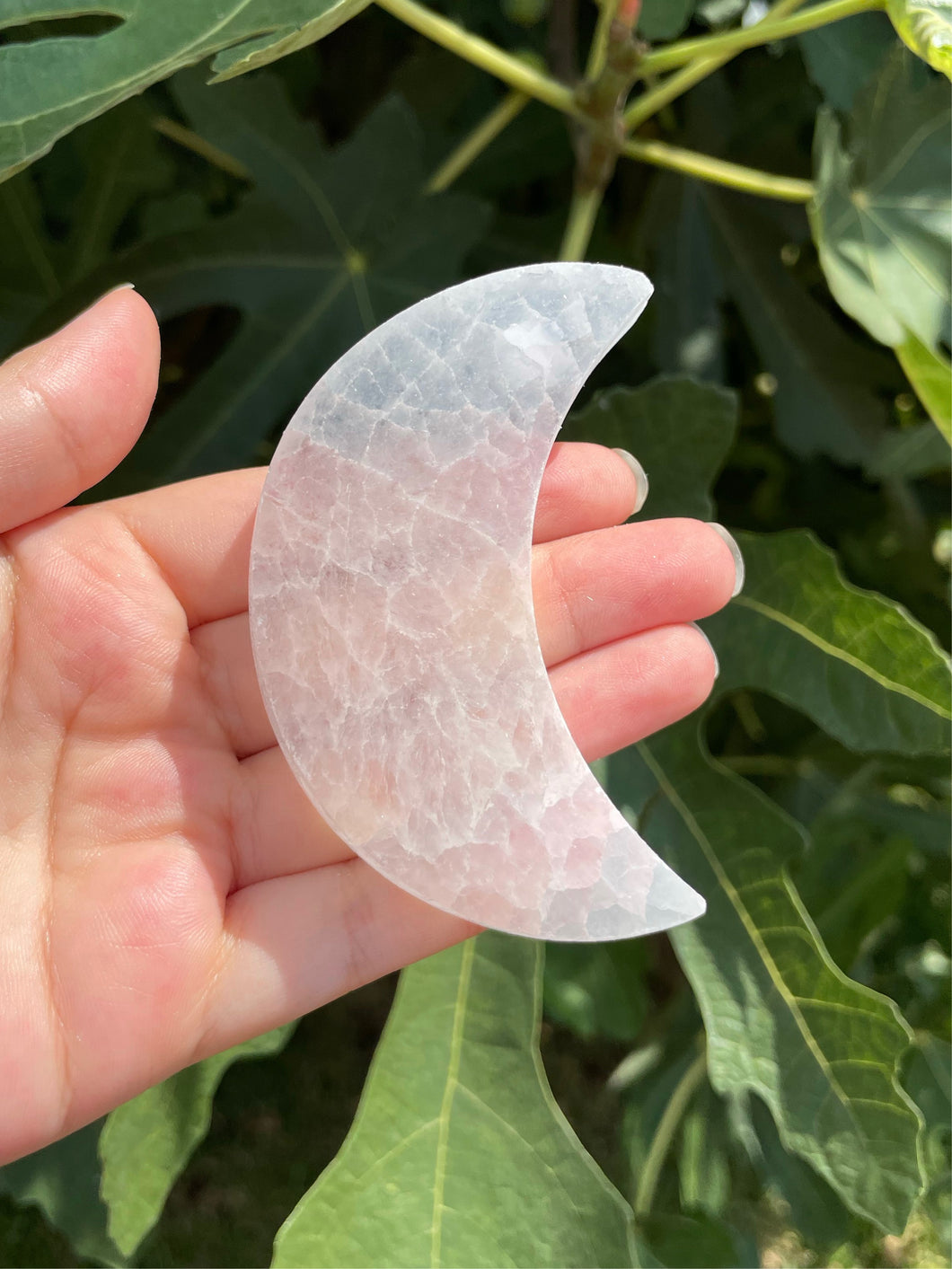 Selenite (Satin Spar) Moon Charging Plate